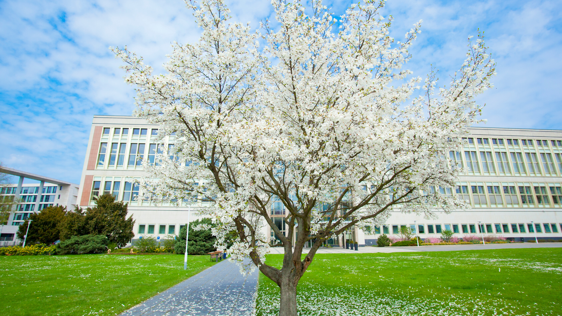 ESMT Garden